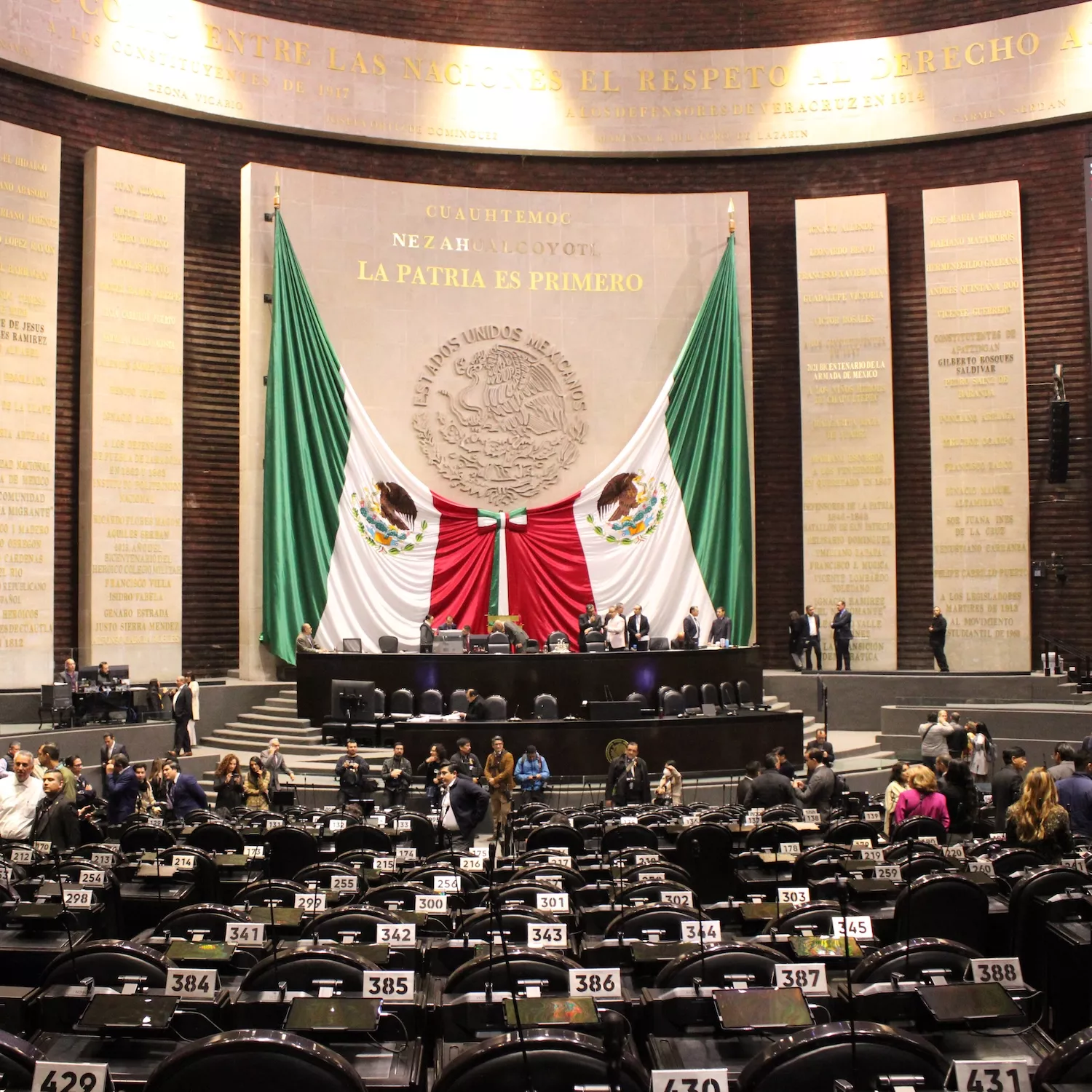 La falta de la Ley General de Protección Animal ya tiene consecuencias