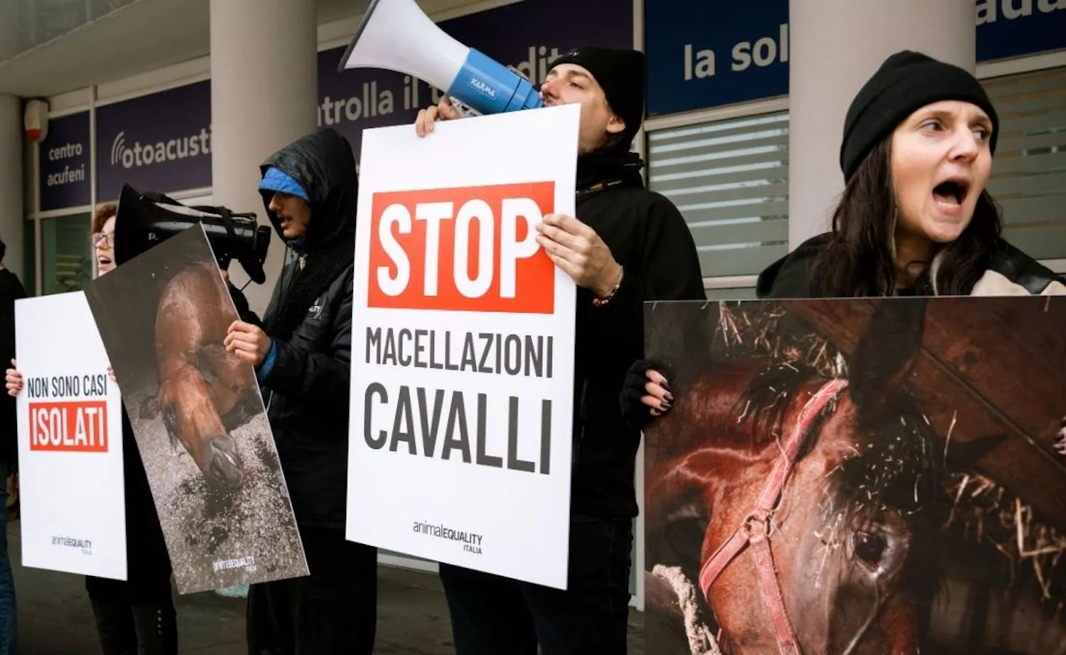 Reporte Impacto Anual 2025 16