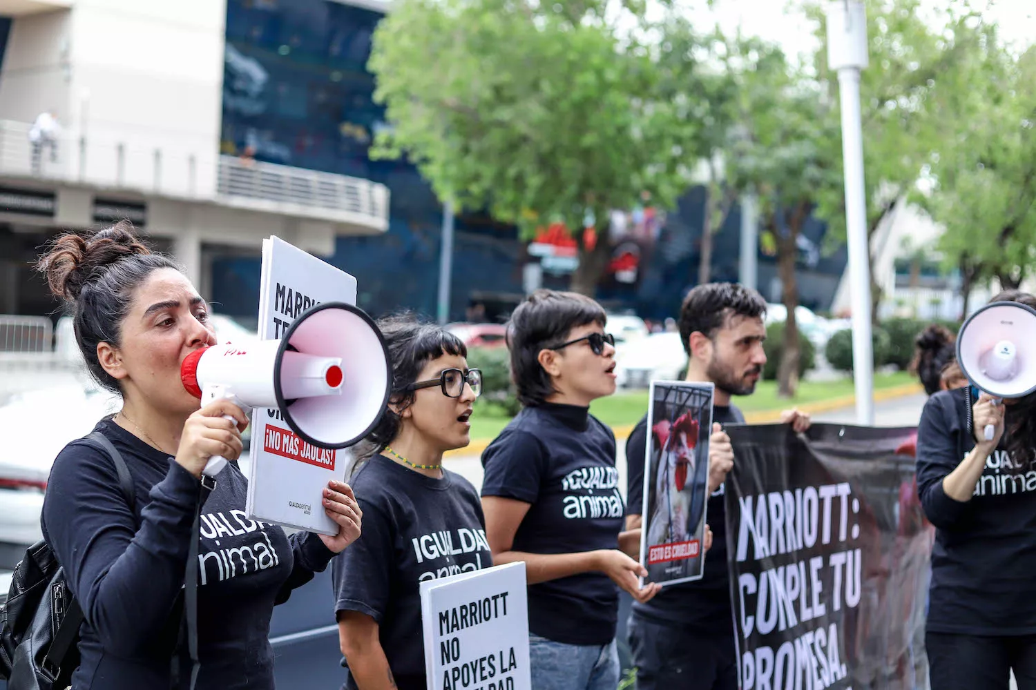 Reporte Impacto Anual 2025 13