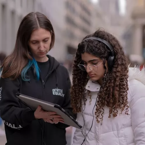 Reporte Impacto Anual 2025 5