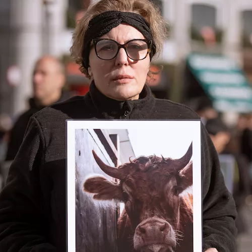 Reporte Impacto Anual 2025 7