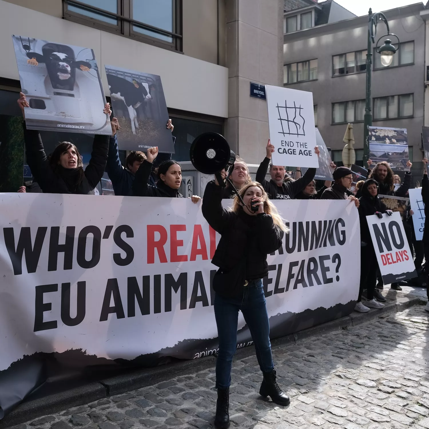 Más de 100 activistas se movilizan contra la influencia de la industria cárnica en la Comisión Europea