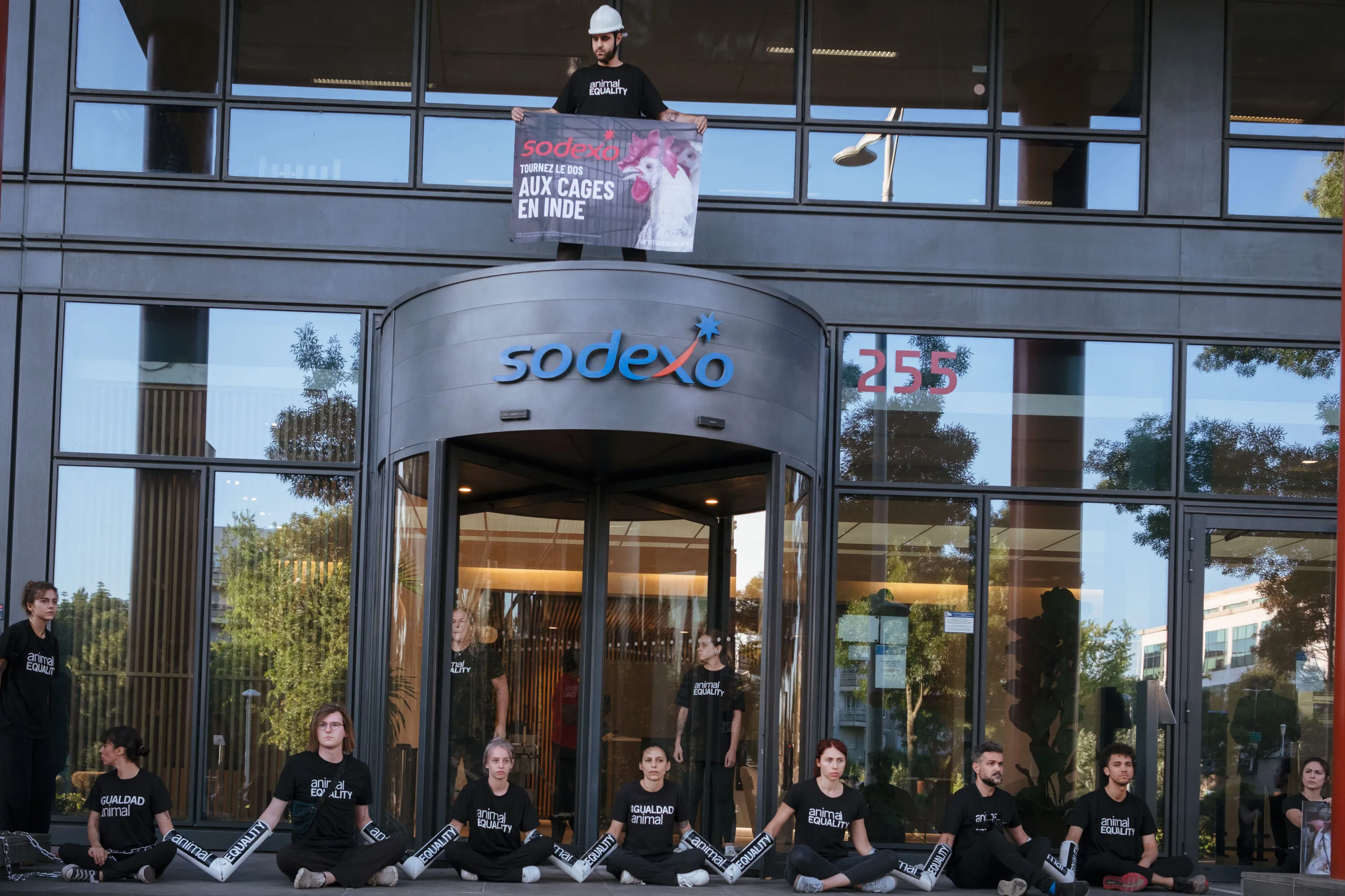 Activistas concluyen protesta tras compromiso de Sodexo de dialogar sobre su promesa de eliminar las jaulas 1 Activistas se encadenaron a la sede de Sodexo en París con una clara exigencia: acabar con las jaulas para gallinas