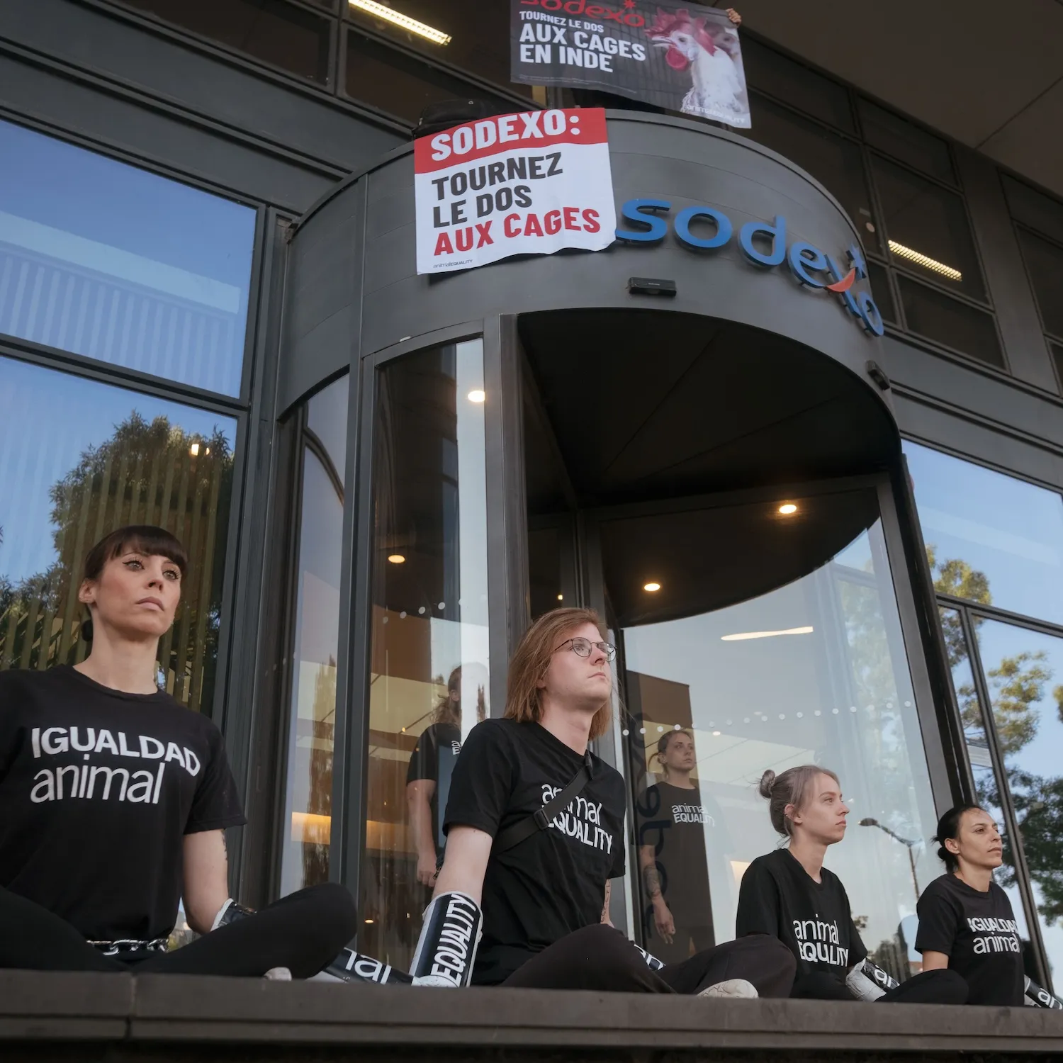 Activistas concluyen protesta tras compromiso de Sodexo de dialogar sobre su promesa de eliminar las jaulas