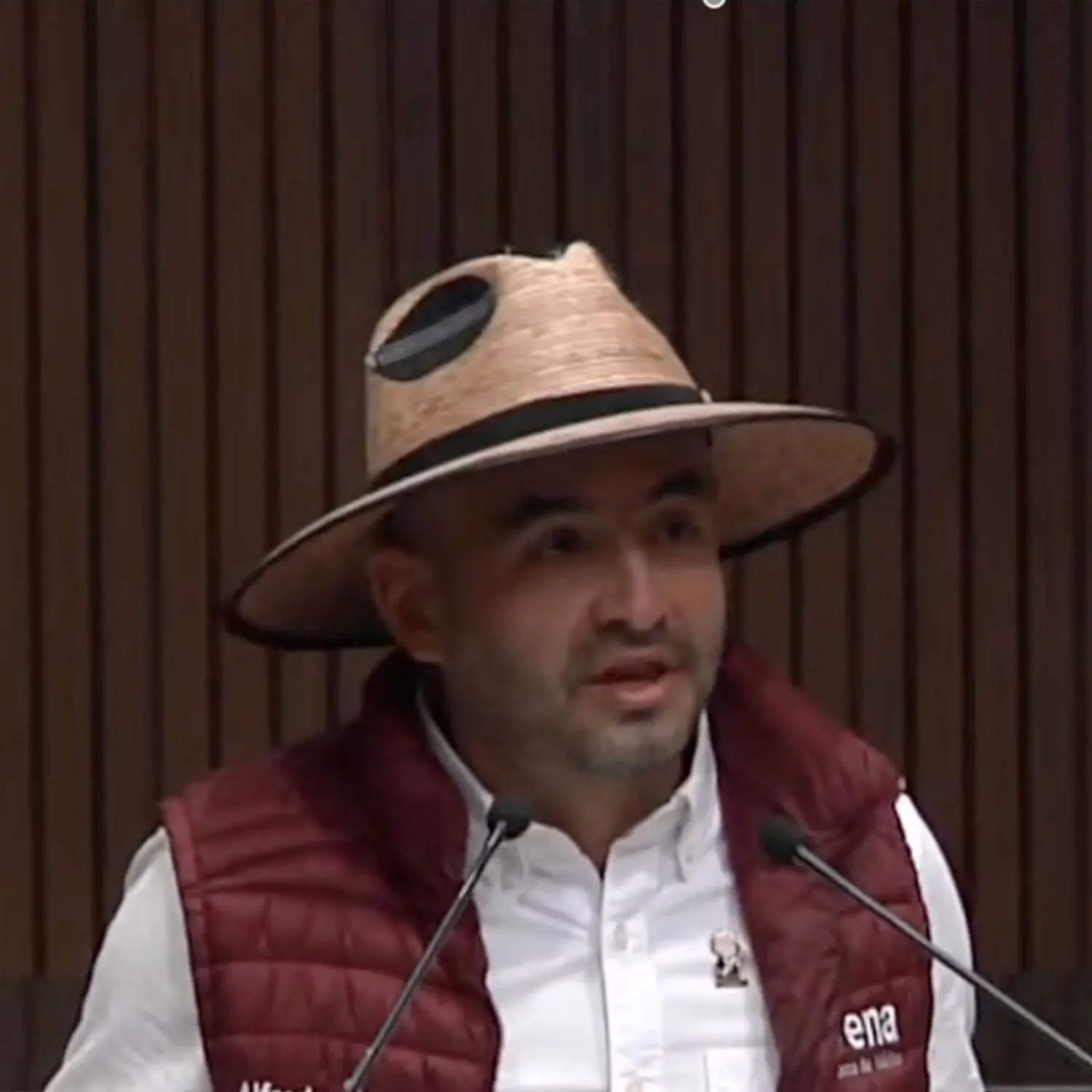 Congreso de Colima exhorta a la Cámara de Diputados avanzar con la Ley General de Bienestar Animal