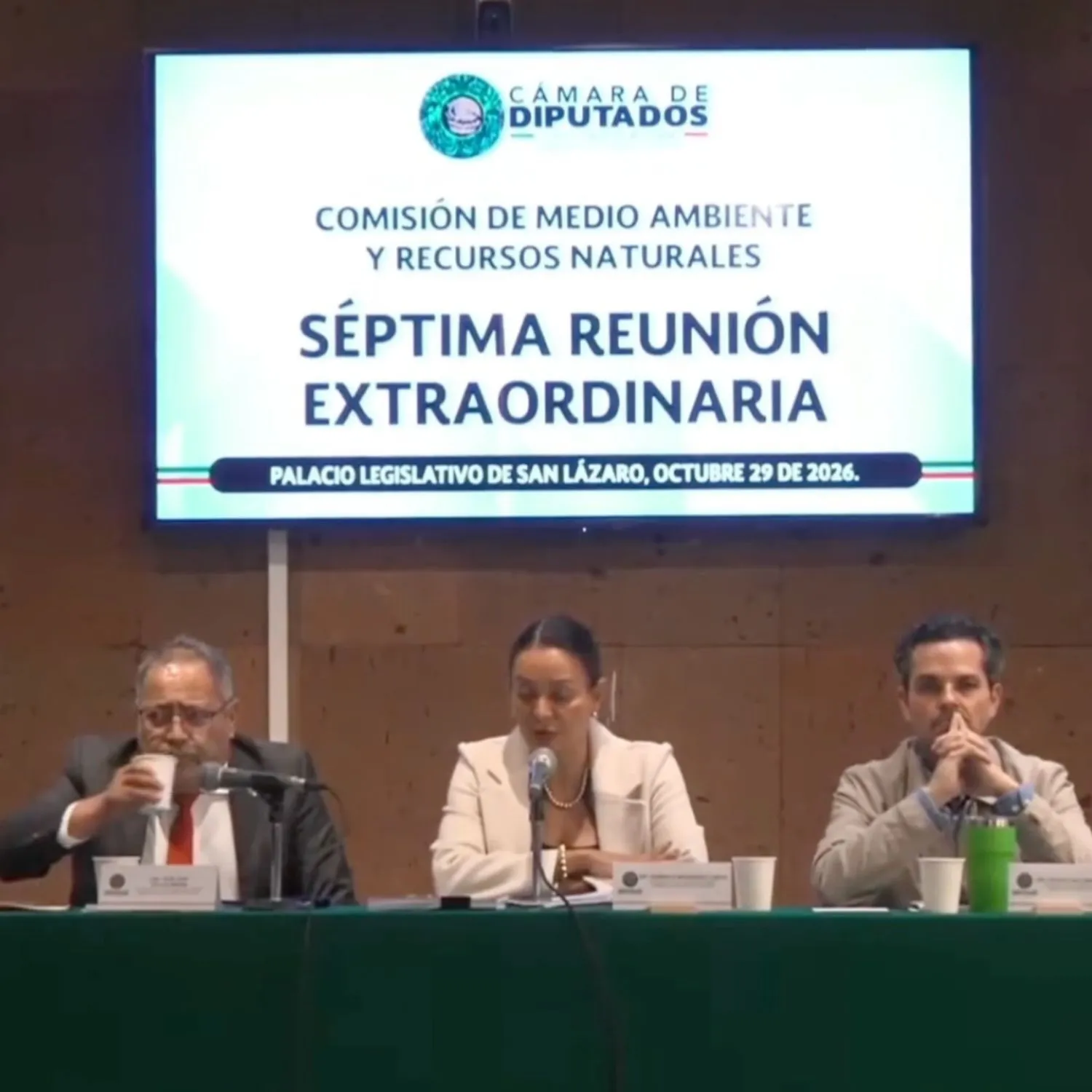 Diputados bloquean la Ley General de Protección Animal 1 Diputados bloquean la Ley General de Protección Animal